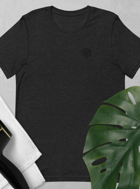 unisex-staple-t-shirt-black-heather-front-681e215aa7bd0.jpg